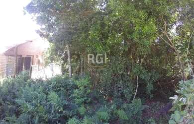 Imagem 3: Terreno para Venda - 524.4m², 0 dormitórios, Teresópolis