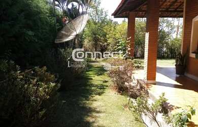 Imagem 4: ITUPEVA - Chácara - CAFEZAL 1