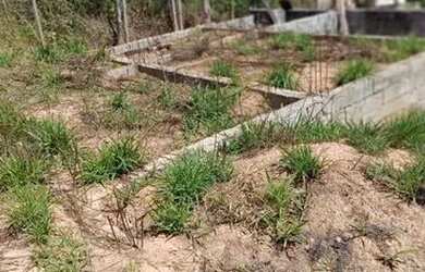 Imagem 5: Lote com alicerce