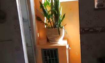 Imagem: Vendo 1 casa e 1 barracão_ 100 mil cada