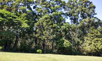 Imagem 4: Chácara no Pico das Cabras