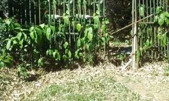 Imagem 2: Terreno para Venda - 0m², 0 dormitórios, Aberta Dos Morros