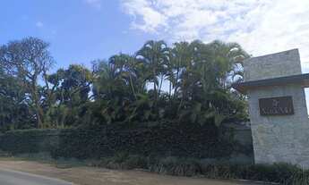 Imagem 4: Terreno comercial de 300m2 Ilha de Guaratiba