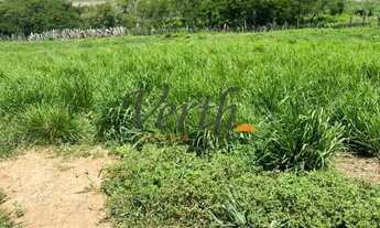 Imagem: Fazenda - Centro - Montes Claros