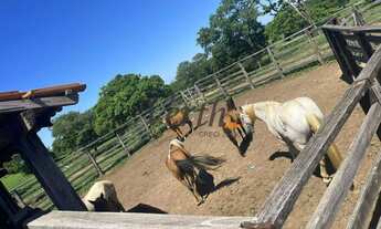 Imagem 3: Fazenda - Centro - Montes Claros