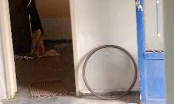 Imagem 5: Casa Casa com 1 dormitório