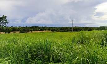 Imagem 6: SITIO LINDO PARAISO EM CUIABA 16,8 Hect