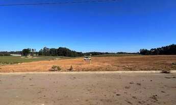 Imagem 6: Terreno Linha Palmeiro Farroupilha