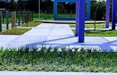 Imagem 4: Terreno em Canasvieiras