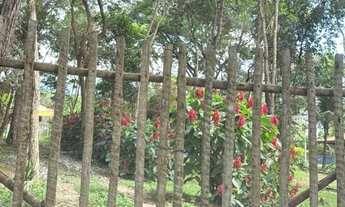 Imagem 5: Sítio em Ravena: Lazer Completo, Piscina, Wifi Fibra e Kit Festa Profissional!