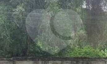 Imagem 4: Sítio com 4 quartos à venda em Rio Do Ouro - RJ