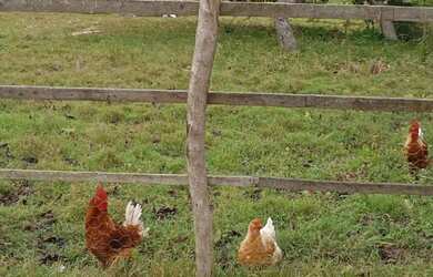 Imagem: Vendo sítio Top de linha completo