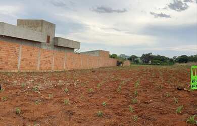Imagem 4: VENDO CHACARA EM BRAZABRANTES GO