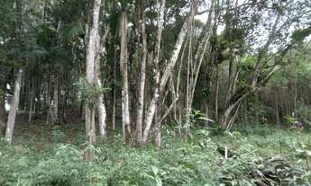 Imagem 7: Terreno de 2 mil mts 77 mil reais plaino