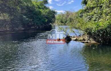 Imagem 2: Fazenda na Nova Fronteira Agrícola 330 alqueieres (1.597 hectares) Colinas Do Sul - Go