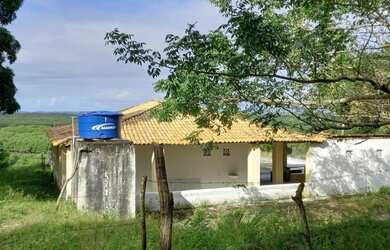 Imagem 5: Fazenda São João Evangelista