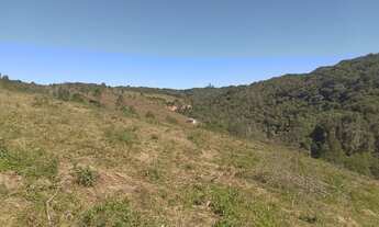 Imagem: 9,5 hectares sendo 7 hectares e. Pasto casa