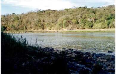 Imagem 5: Fazenda São Gonçalo do Abaeté, MG