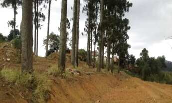 Imagem 5: Área 2.740m² próx. ao centro de Cotia