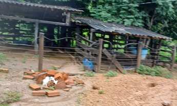 Imagem 4: Beira da Represa em Cascalho Rico