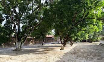 Imagem 3: Chácara à Venda - Vila Apaco