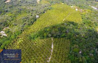 Imagem 5: Belíssima Fazenda com 685 mil m² à venda no litoral proximo de Sauipe com Mata Preservada