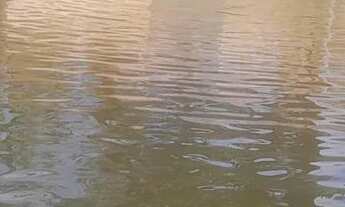 Imagem 3: Terreno com lagoa