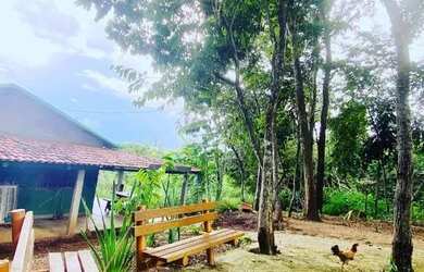 Imagem 5: Chácara em Caldazinha com 24.000 M2