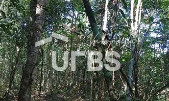 Imagem 7: Oportunidade de chacará com mata exuberante