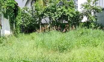 Imagem 5: Taquara Terreno comercial 430 metros