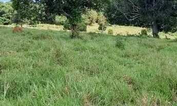 Imagem 3: Sitio em Desterro de Entre Rios MG 9 hectares 90 mil metros Com Agua corrente