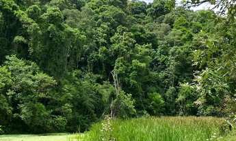 Imagem 4: Lotes para venda tem 500 metros quadrados em Cachoeira - Ibiúna - SP