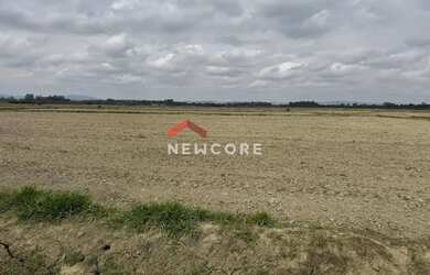 Imagem 2: Fazenda em Vgv- Estimado Em Hum Bilhão de Reaisfilé de Areade Empreendedorismo Turistico E