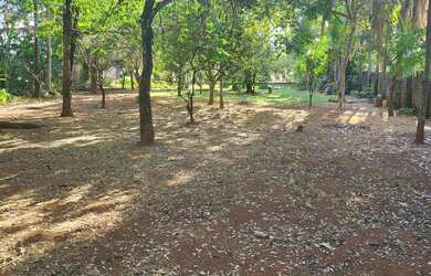 Imagem 4: Chacara na saida da GO-070 4.375 m²