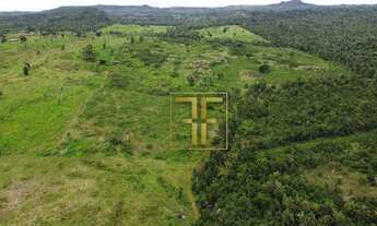 Imagem 4: Fazenda 254 Alqueires, Miranorte, TO