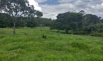 Imagem 6: Chácara para venda com 12 hectares