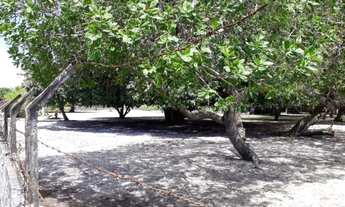 Imagem 5: Uma excelente granja totalmente plana e murada