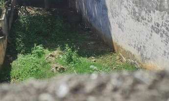 Imagem 5: Terreno com medida 6 x 35 caído para os fundos