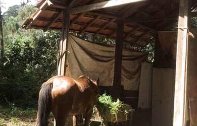 Imagem 6: Terreno com 5.700m², na Riviera Paulista, ótima topografia, luz, esgoto, coleta de lixo, i