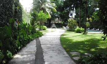 Imagem 3: Excelente terreno de 2 mil metros quadrados