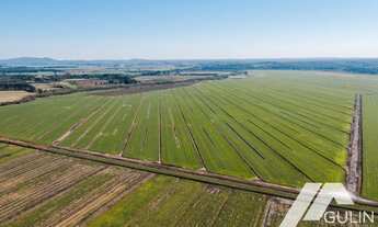 Imagem 2: Fazenda para Venda em Tijucas do Sul