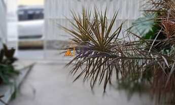 Imagem 4: GUARULHOS - Casa Padrão - Chácara do vovó