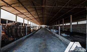 Imagem 3: Fazenda para Venda em Tijucas do Sul