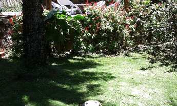 Imagem 6: Cea028 - Lindo sítio em Pacoti com 10 suítes