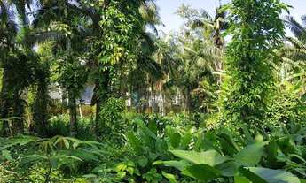 Imagem 3: Terreno à venda, 3464 m² por R$ 2.100.000,00 - Centro (Pirabeiraba) - Joinville/SC