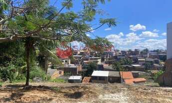 Imagem 6: Lauro de Freitas - Terreno Padrão - Ipitanga