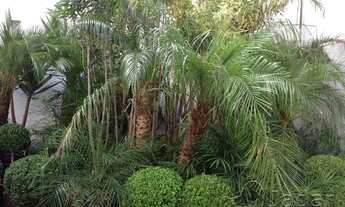 Imagem 3: GALPÃO COMERCIAL A VENDA NO CAXINGUI