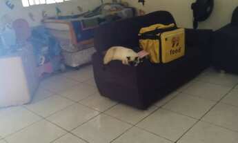 Imagem 4: Casa no bairro Mineirão - Sorocaba/SP