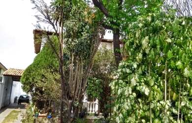 Imagem 4: Casa 5 quartos, bairro Braúnas, Belo Horizonte/MG