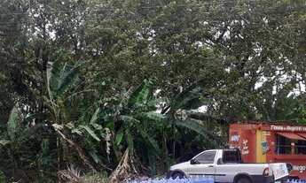 Imagem 3: Área com 6.000 m² às margens da Rodovia PE 35 (Área Comercial) em Igarassu - PE